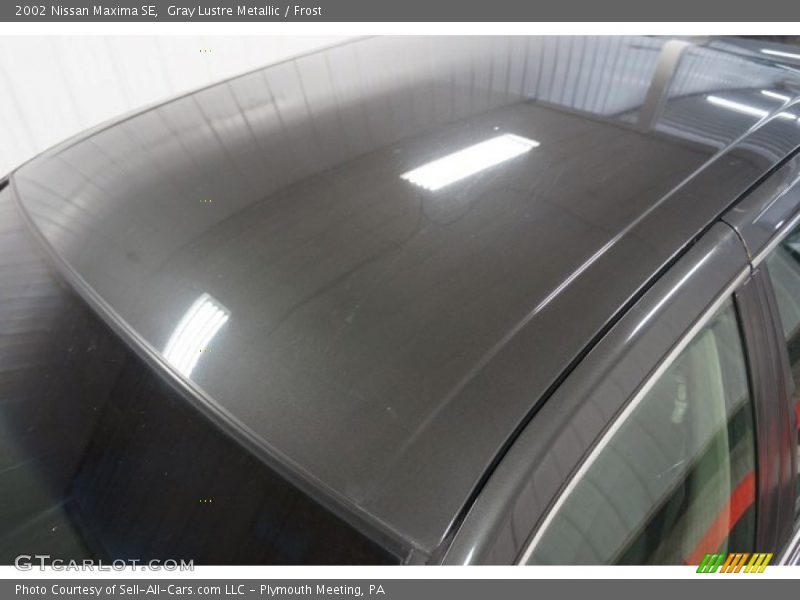 Gray Lustre Metallic / Frost 2002 Nissan Maxima SE