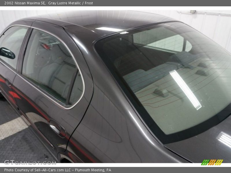 Gray Lustre Metallic / Frost 2002 Nissan Maxima SE