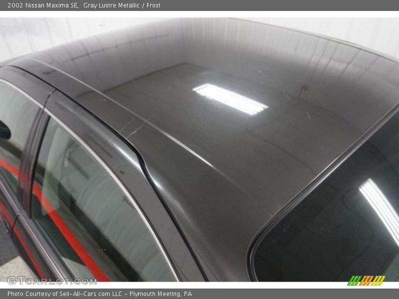 Gray Lustre Metallic / Frost 2002 Nissan Maxima SE