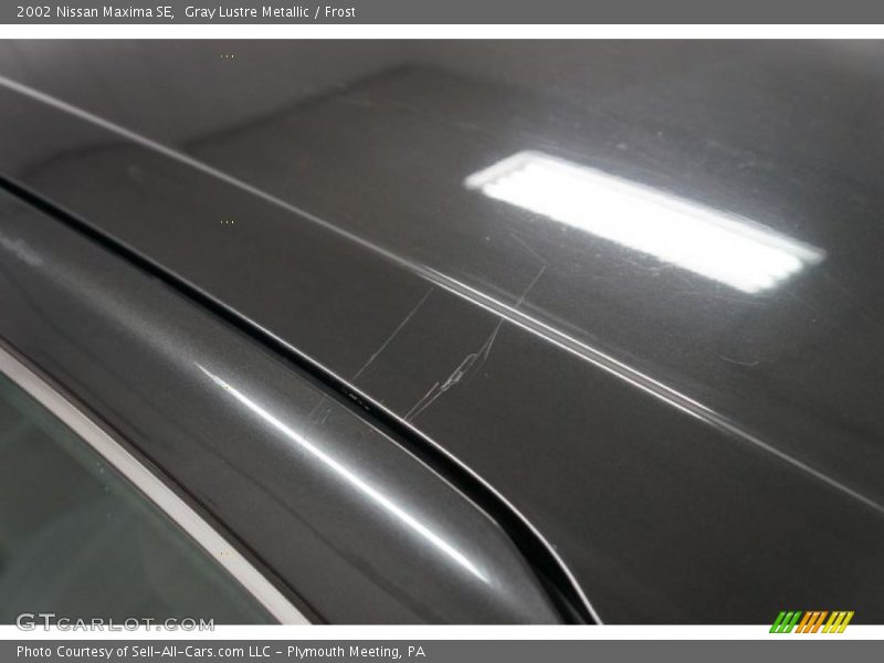 Gray Lustre Metallic / Frost 2002 Nissan Maxima SE