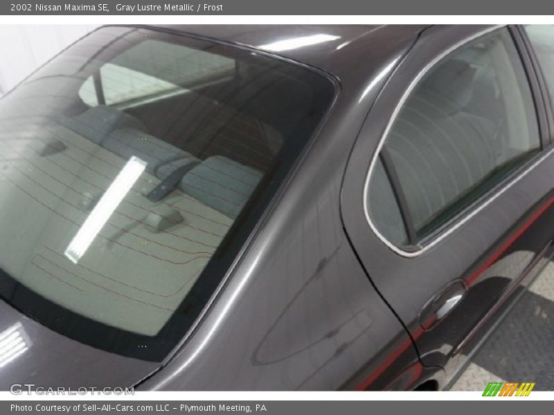 Gray Lustre Metallic / Frost 2002 Nissan Maxima SE
