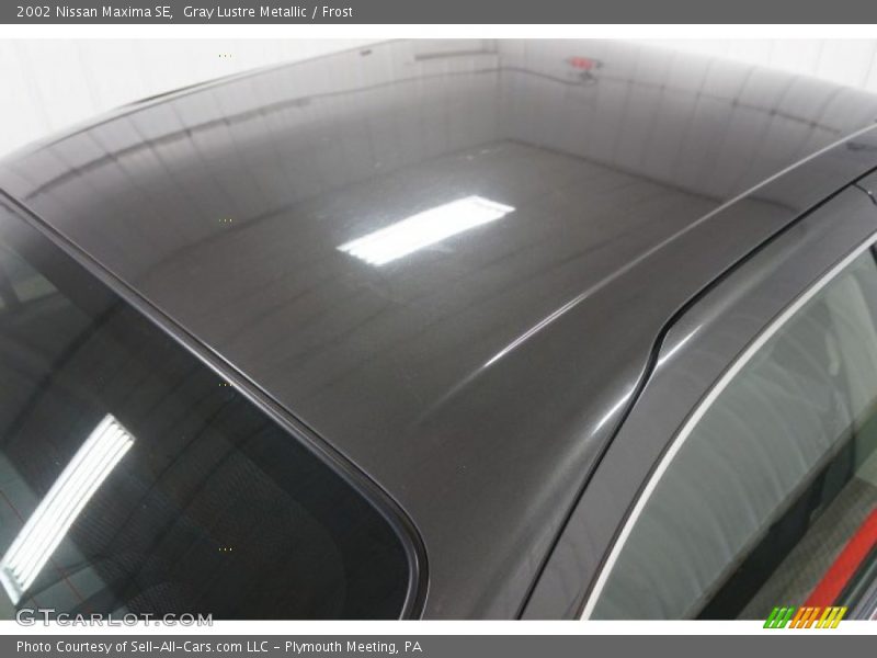 Gray Lustre Metallic / Frost 2002 Nissan Maxima SE