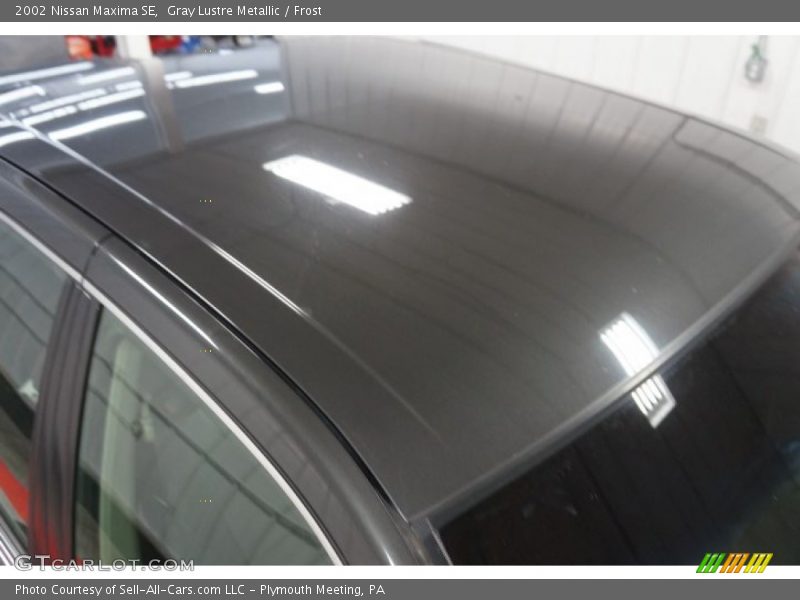 Gray Lustre Metallic / Frost 2002 Nissan Maxima SE