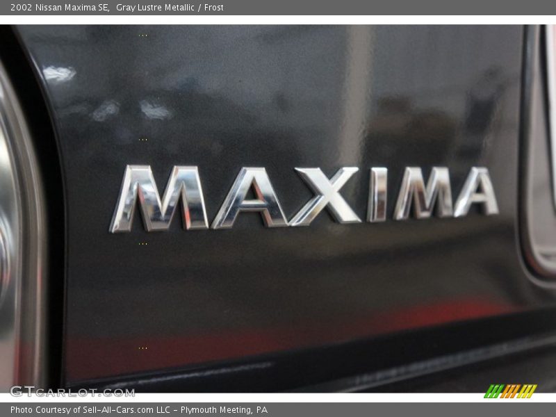 Gray Lustre Metallic / Frost 2002 Nissan Maxima SE