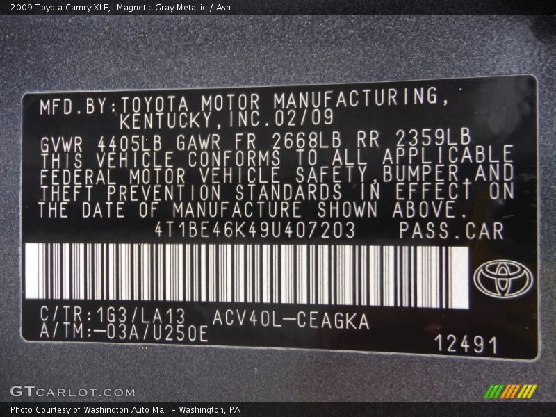 Magnetic Gray Metallic / Ash 2009 Toyota Camry XLE