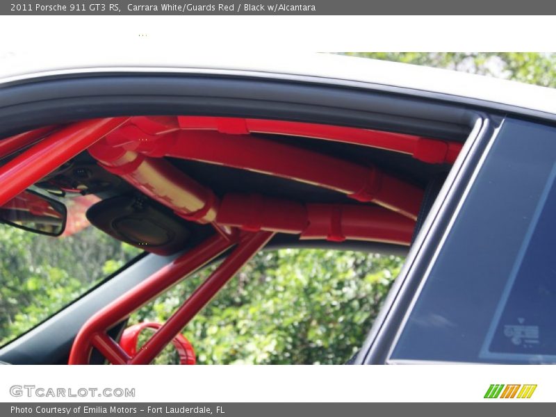 Roll cage - 2011 Porsche 911 GT3 RS