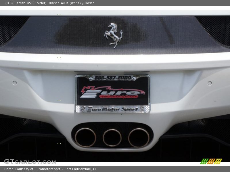 Bianco Avus (White) / Rosso 2014 Ferrari 458 Spider