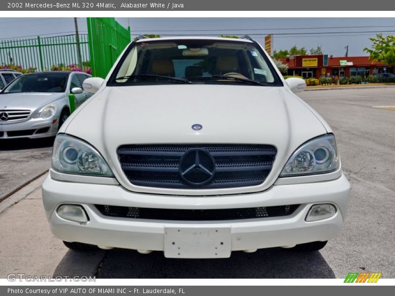 Alabaster White / Java 2002 Mercedes-Benz ML 320 4Matic