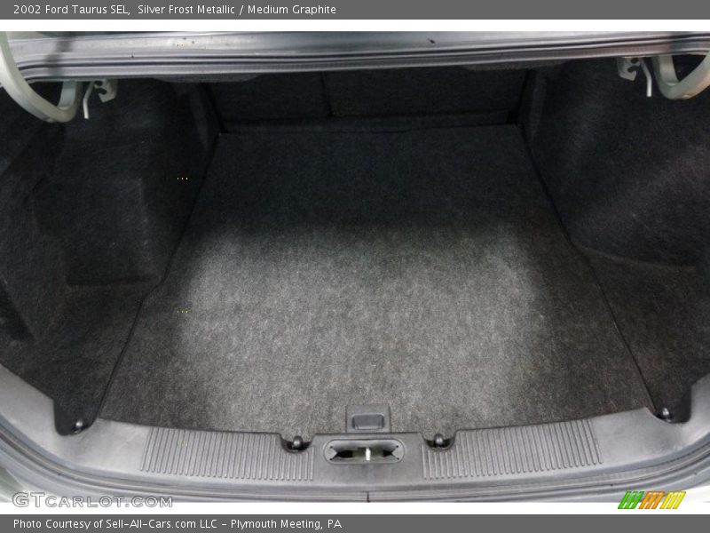 Silver Frost Metallic / Medium Graphite 2002 Ford Taurus SEL