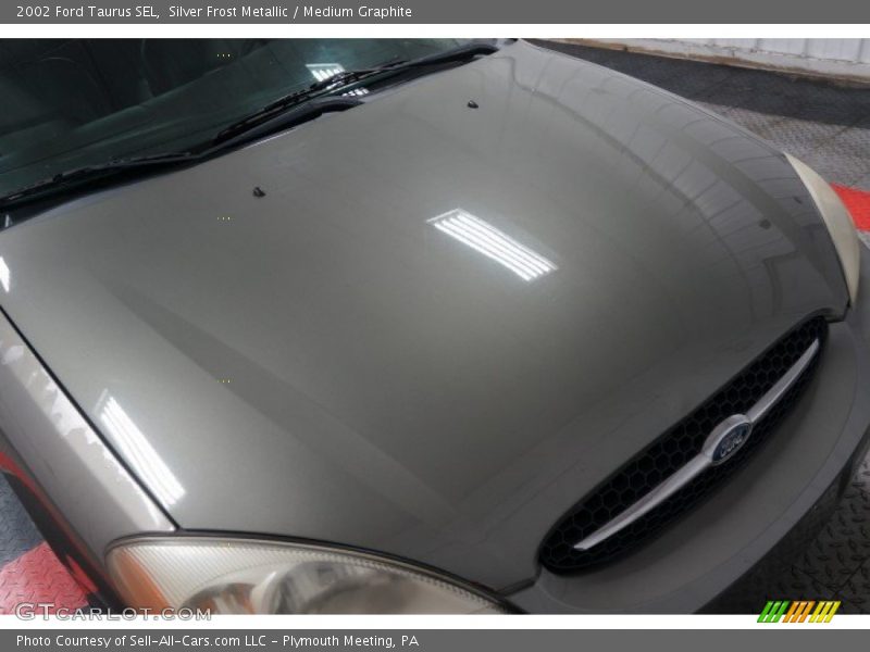 Silver Frost Metallic / Medium Graphite 2002 Ford Taurus SEL