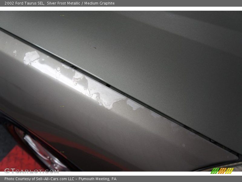 Silver Frost Metallic / Medium Graphite 2002 Ford Taurus SEL