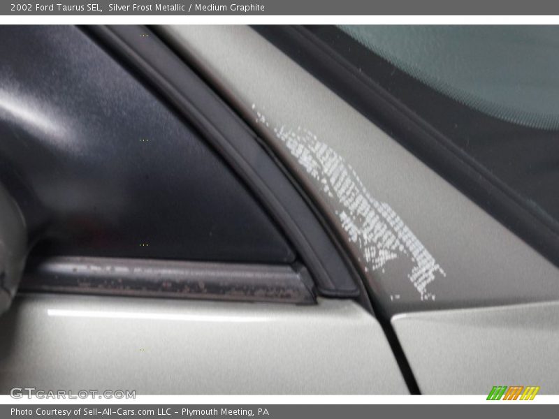 Silver Frost Metallic / Medium Graphite 2002 Ford Taurus SEL