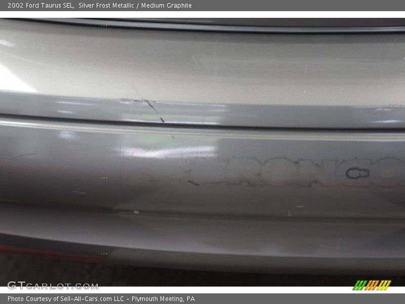 Silver Frost Metallic / Medium Graphite 2002 Ford Taurus SEL