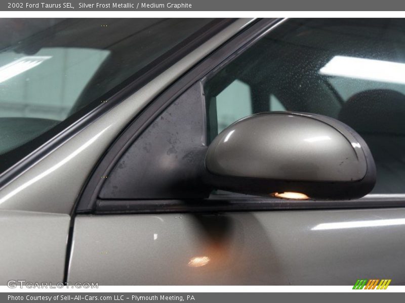 Silver Frost Metallic / Medium Graphite 2002 Ford Taurus SEL