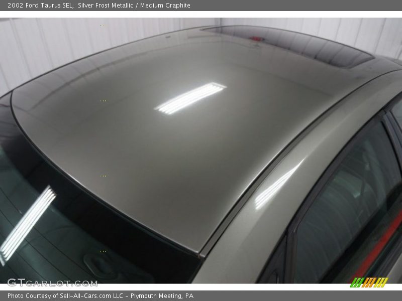 Silver Frost Metallic / Medium Graphite 2002 Ford Taurus SEL