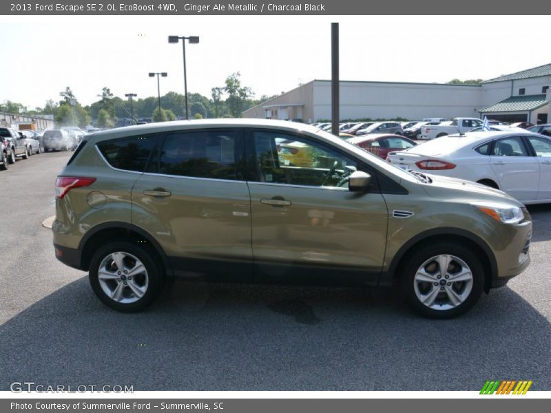Ginger Ale Metallic / Charcoal Black 2013 Ford Escape SE 2.0L EcoBoost 4WD