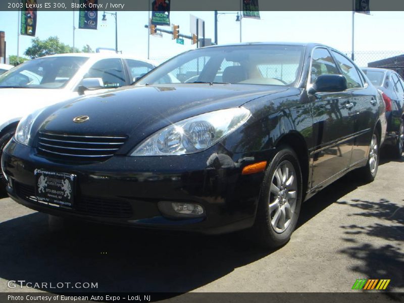 Black Onyx / Ivory 2003 Lexus ES 300