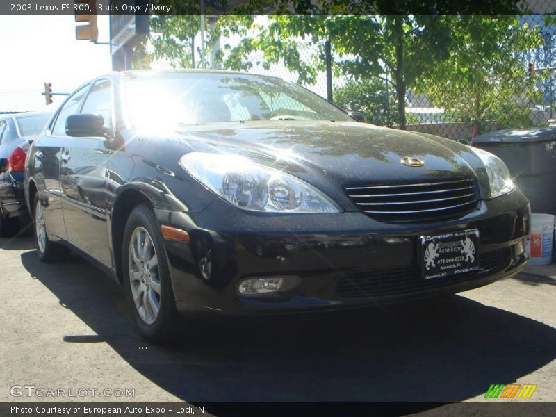 Black Onyx / Ivory 2003 Lexus ES 300