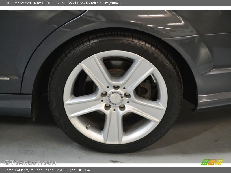 Steel Grey Metallic / Grey/Black 2010 Mercedes-Benz C 300 Luxury