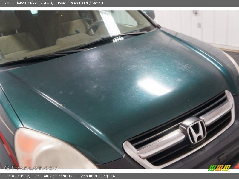 Clover Green Pearl / Saddle 2003 Honda CR-V EX 4WD
