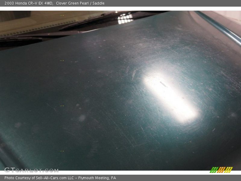 Clover Green Pearl / Saddle 2003 Honda CR-V EX 4WD