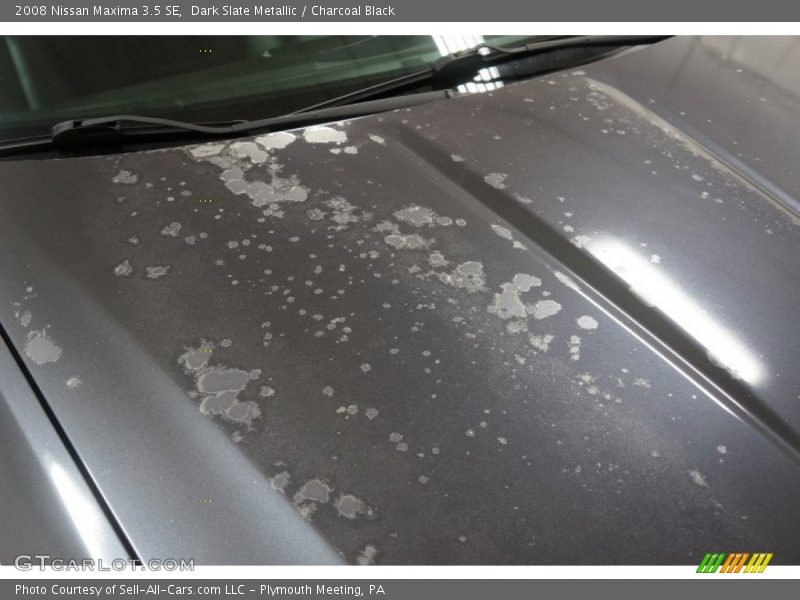 Dark Slate Metallic / Charcoal Black 2008 Nissan Maxima 3.5 SE