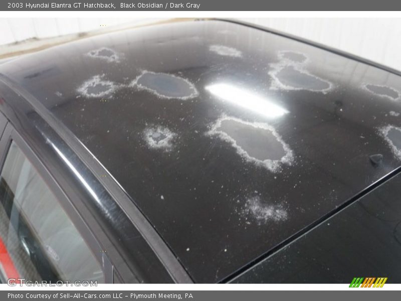 Black Obsidian / Dark Gray 2003 Hyundai Elantra GT Hatchback