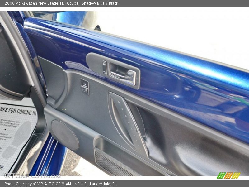 Door Panel of 2006 New Beetle TDI Coupe
