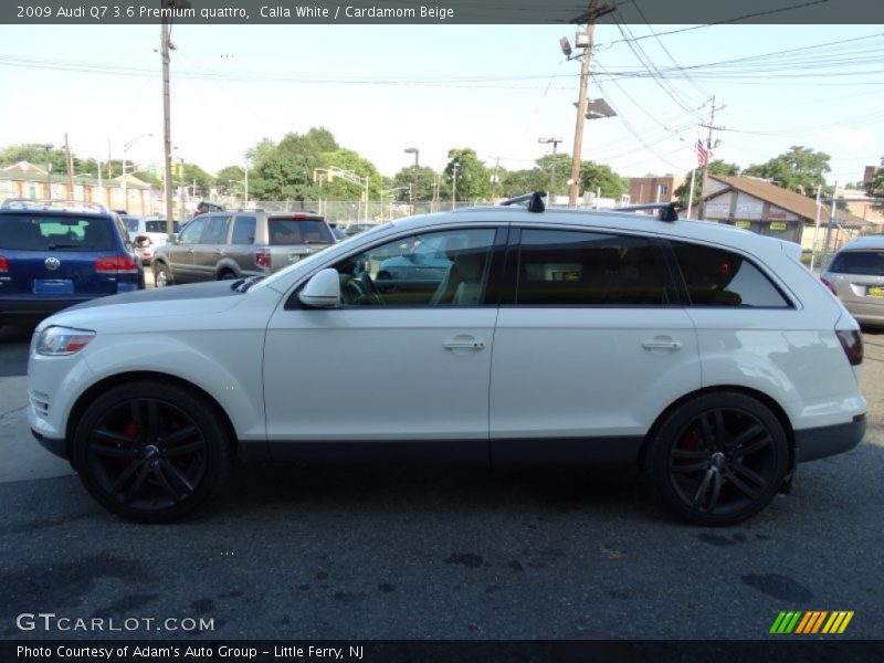 Calla White / Cardamom Beige 2009 Audi Q7 3.6 Premium quattro