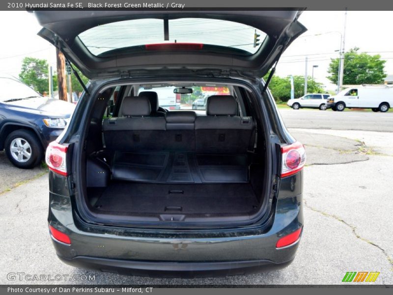 Black Forest Green Metallic / Gray 2010 Hyundai Santa Fe SE