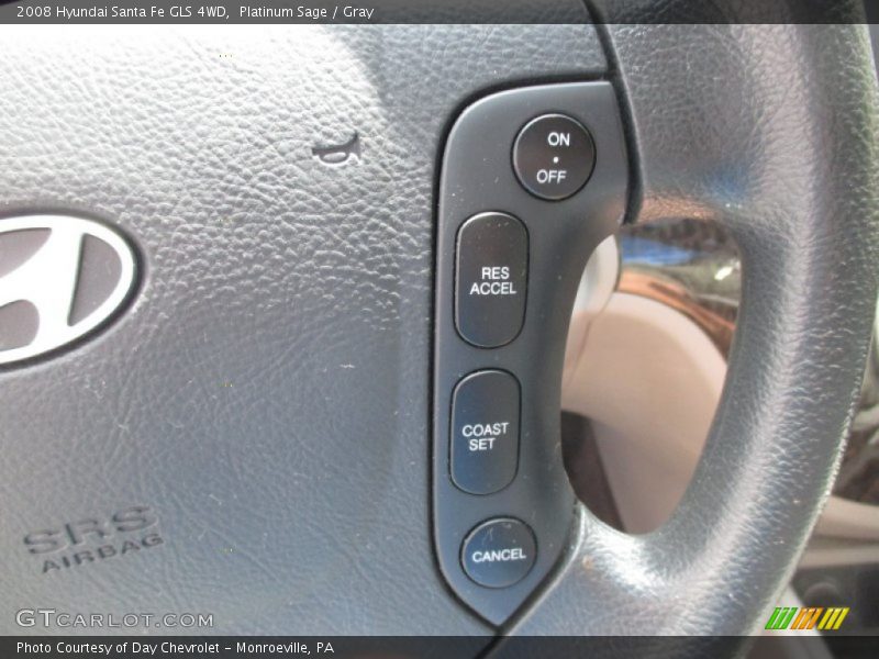 Platinum Sage / Gray 2008 Hyundai Santa Fe GLS 4WD