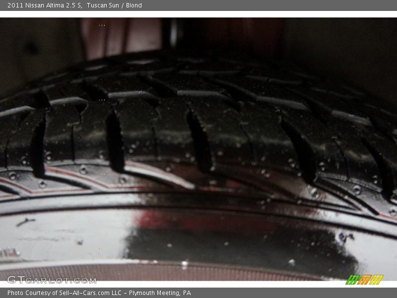 Tuscan Sun / Blond 2011 Nissan Altima 2.5 S