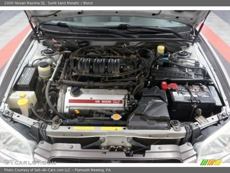 Sunlit Sand Metallic / Blond 2000 Nissan Maxima SE