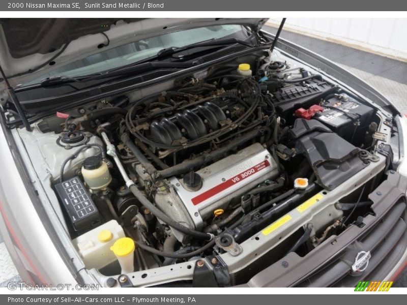 Sunlit Sand Metallic / Blond 2000 Nissan Maxima SE