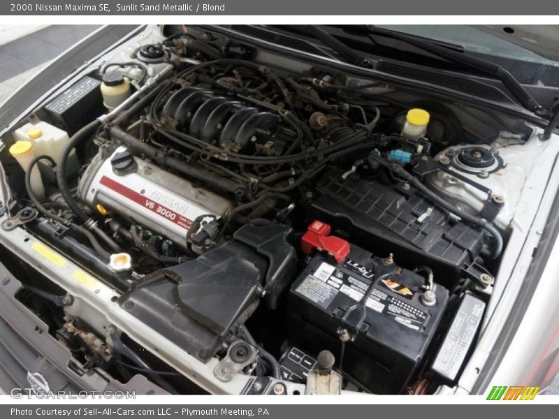 Sunlit Sand Metallic / Blond 2000 Nissan Maxima SE
