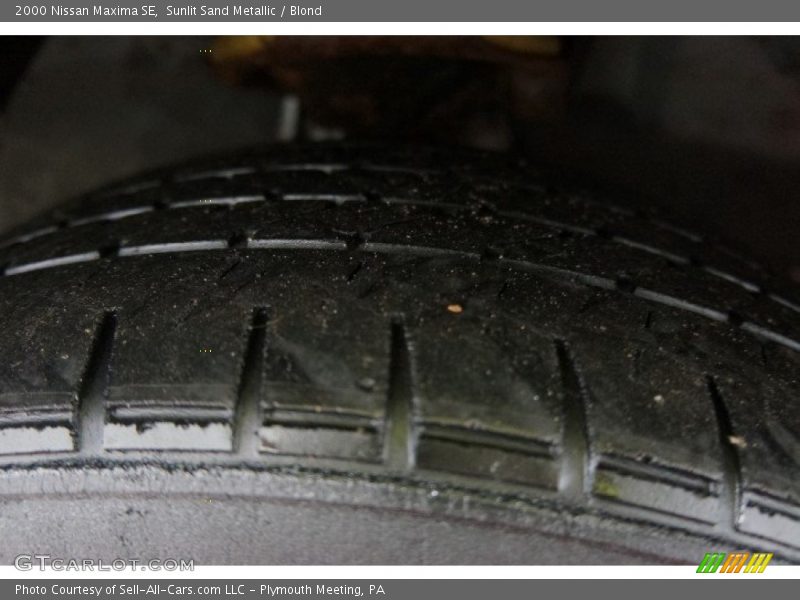 Sunlit Sand Metallic / Blond 2000 Nissan Maxima SE