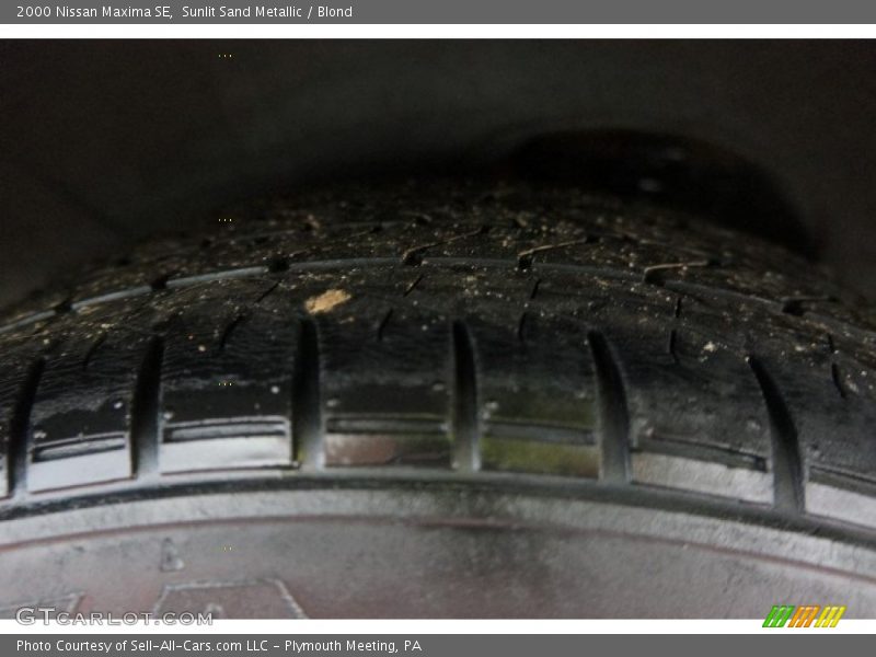 Sunlit Sand Metallic / Blond 2000 Nissan Maxima SE