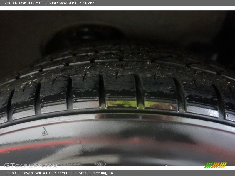 Sunlit Sand Metallic / Blond 2000 Nissan Maxima SE