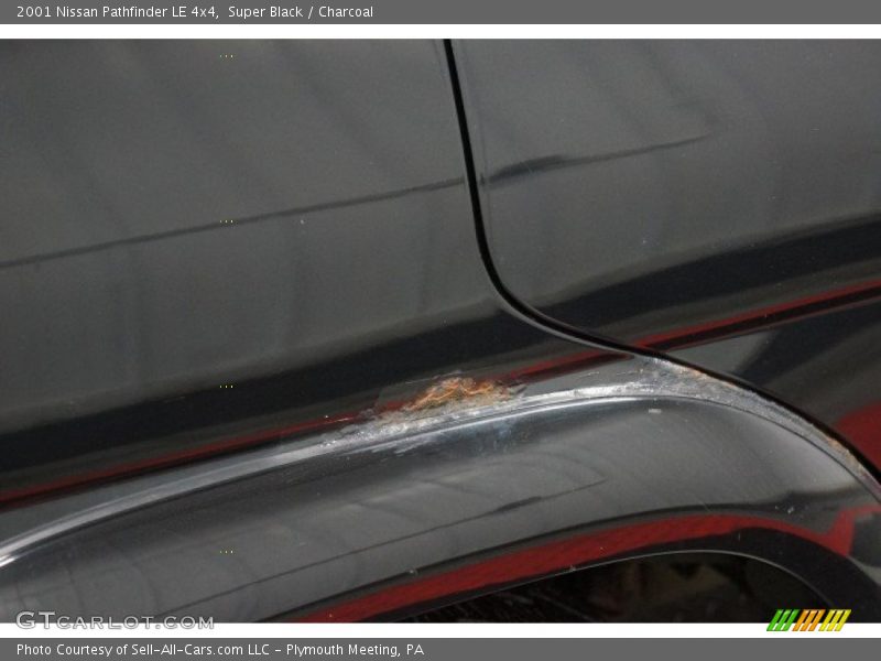 Super Black / Charcoal 2001 Nissan Pathfinder LE 4x4