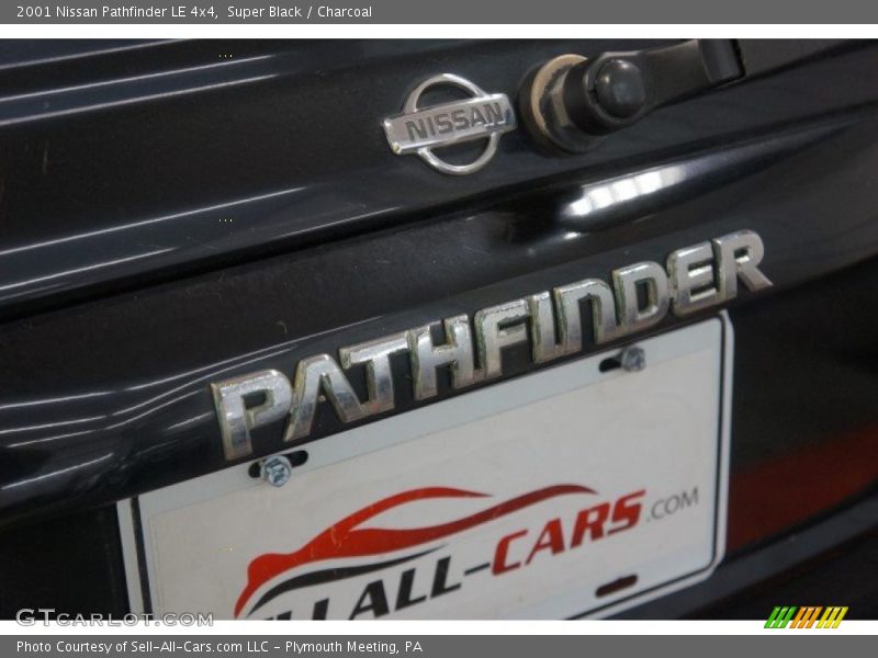 Super Black / Charcoal 2001 Nissan Pathfinder LE 4x4