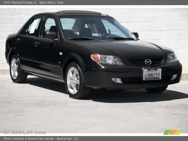 Black Mica / Gray 2003 Mazda Protege LX