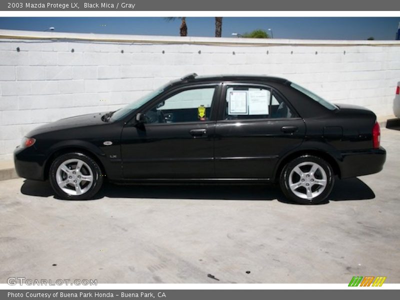 Black Mica / Gray 2003 Mazda Protege LX