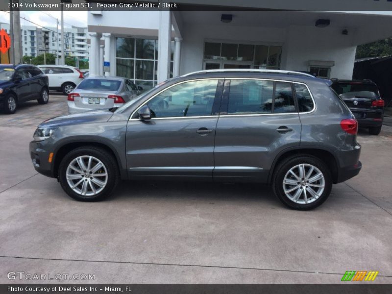 Pepper Gray Metallic / Black 2014 Volkswagen Tiguan SEL