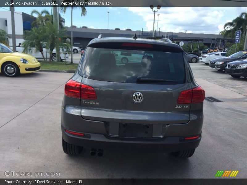 Pepper Gray Metallic / Black 2014 Volkswagen Tiguan SEL