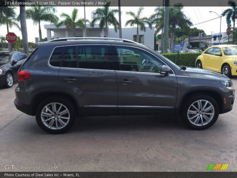 Pepper Gray Metallic / Black 2014 Volkswagen Tiguan SEL