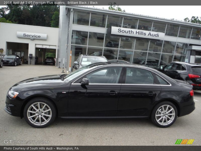 Brilliant Black / Black 2016 Audi A4 2.0T Premium Plus quattro