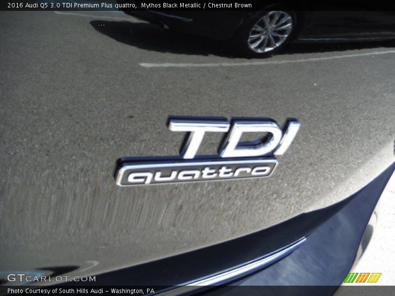  2016 Q5 3.0 TDI Premium Plus quattro Logo