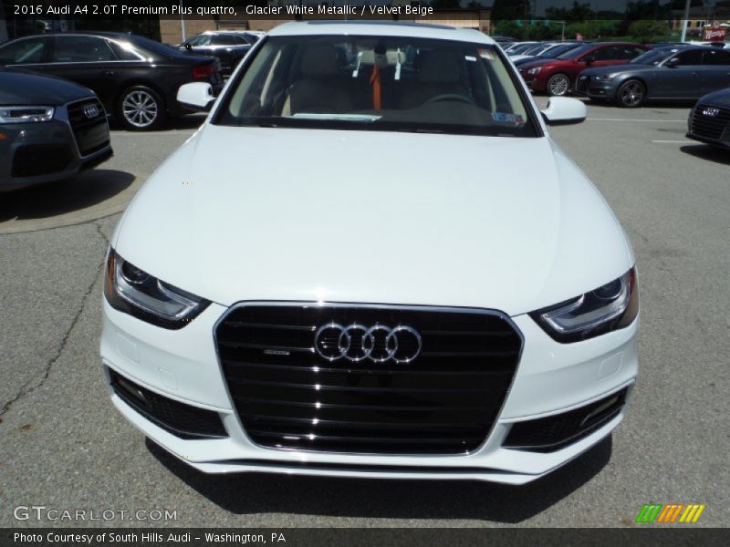 Glacier White Metallic / Velvet Beige 2016 Audi A4 2.0T Premium Plus quattro