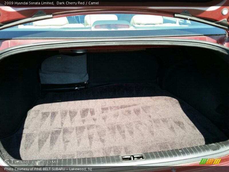 Dark Cherry Red / Camel 2009 Hyundai Sonata Limited