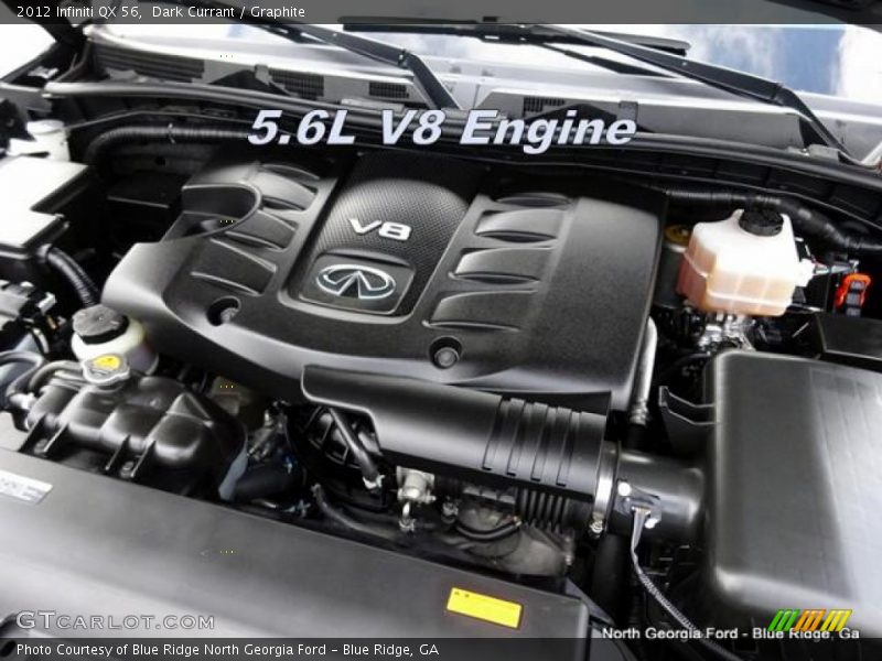 Dark Currant / Graphite 2012 Infiniti QX 56